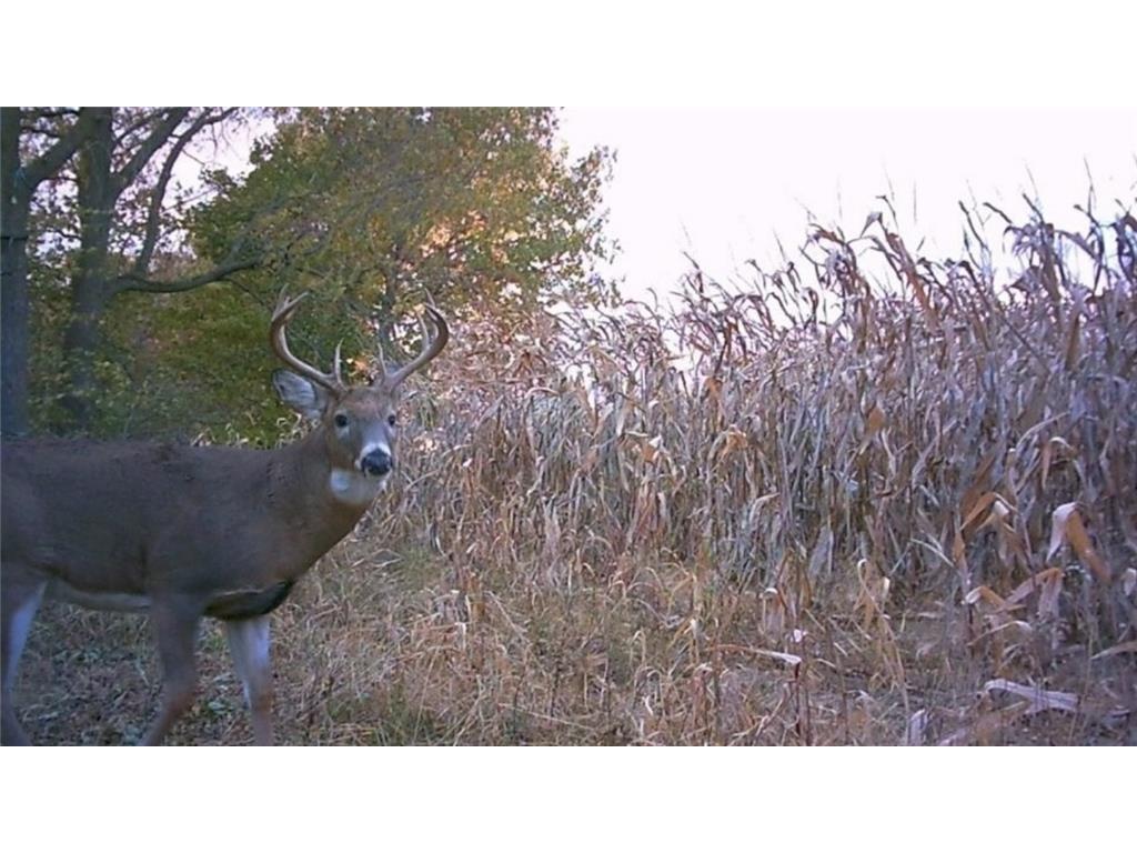 XXXXX County 45 Boulevard Red Wing MN 55066 7005273 image6