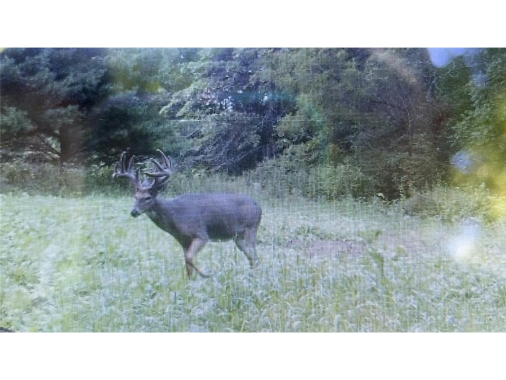 XXXXX County 45 Boulevard Red Wing MN 55066 7005273 image7