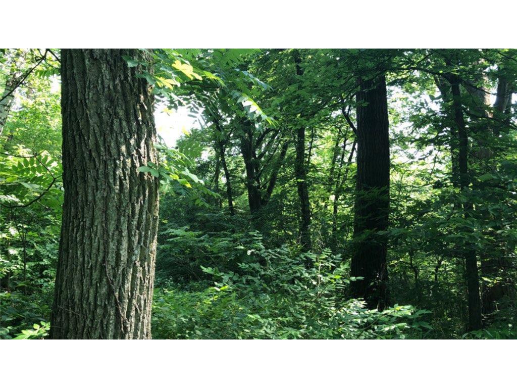 XXXXX County 45 Boulevard Red Wing MN 55066 7005273 image8