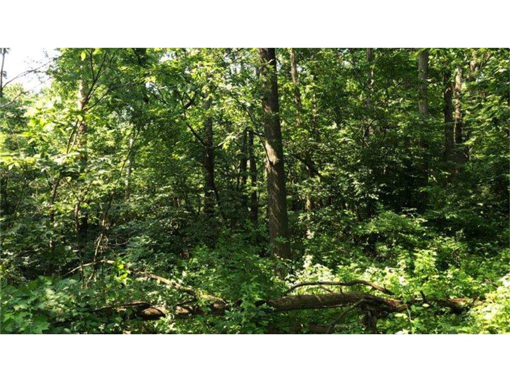 XXXXX County 45 Boulevard Red Wing MN 55066 7005273 image9