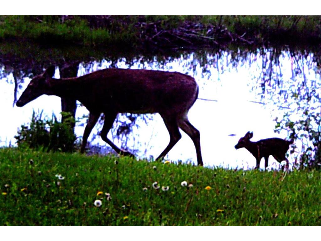 3211 Ivory Street Isle MN 56342 6785762 image65