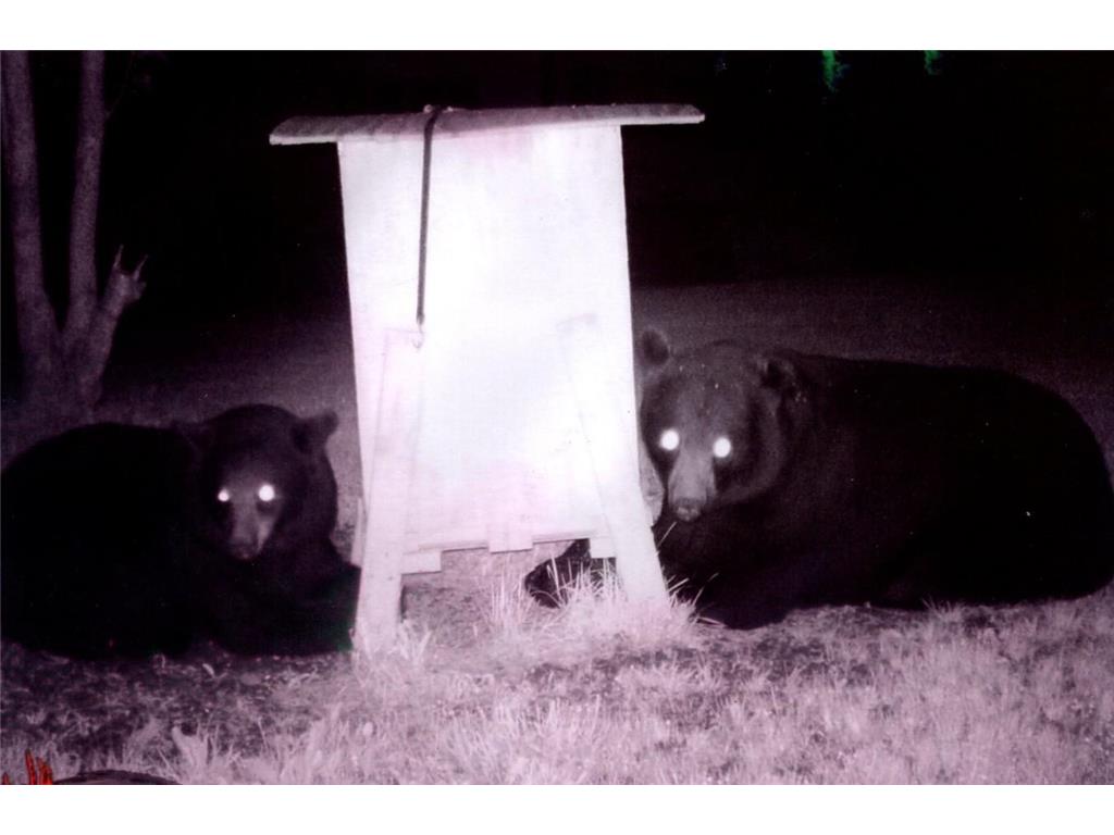 3211 Ivory Street Isle MN 56342 6785762 image66