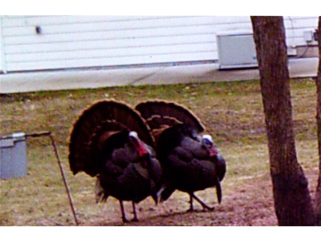 3211 Ivory Street Isle MN 56342 6785762 image67