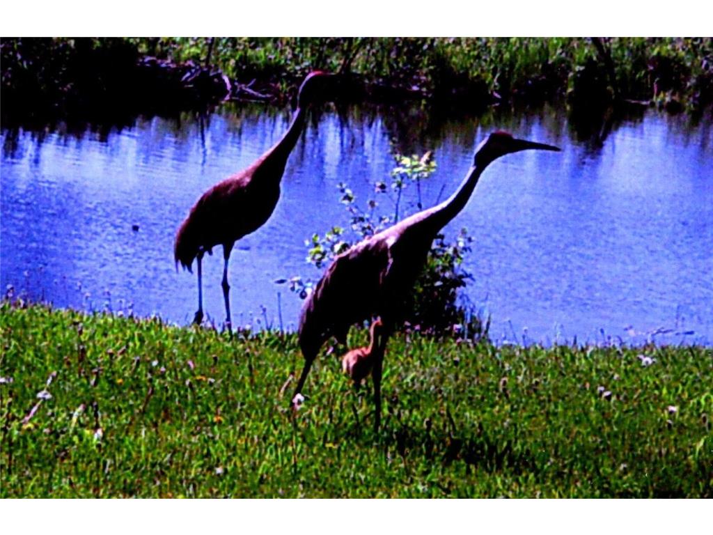 3211 Ivory Street Isle MN 56342 6785762 image69