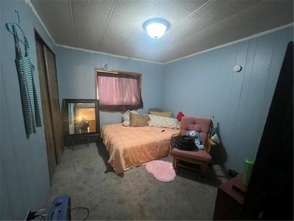 32111 Ibis Street NW Cambridge MN 55008 - Elizabeth 7106980 image39