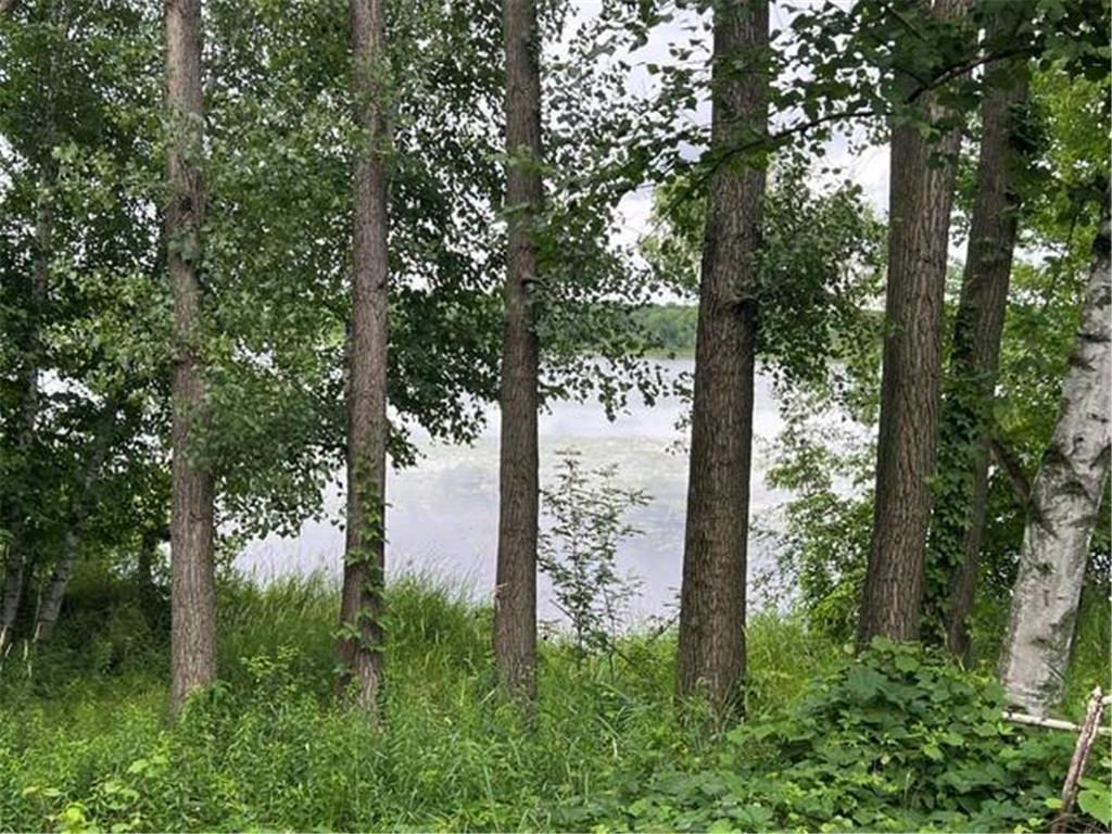 32111 Ibis Street NW Cambridge MN 55008 - Elizabeth 7106980 image9