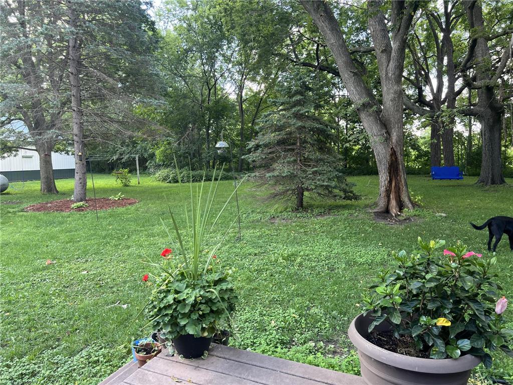 32115 Canada Avenue Waterford Twp MN 55057 7065577 image53
