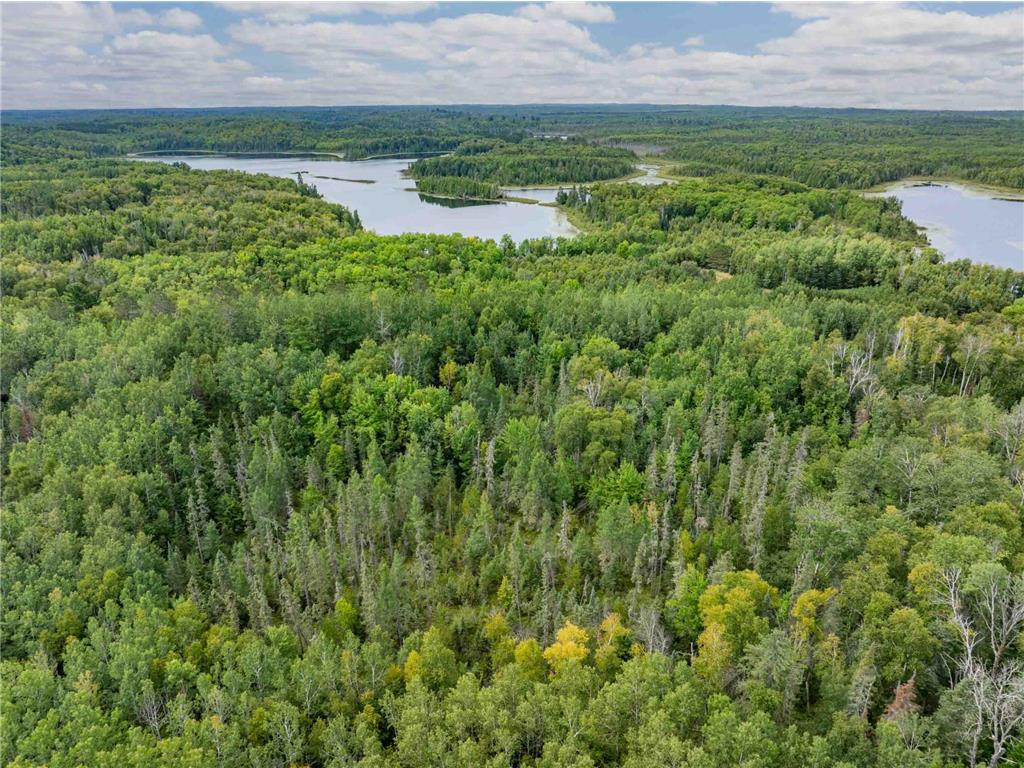 32118 E Gunn Lake Trail Marcell MN 56657 - Fifth Chain 6776820 image32