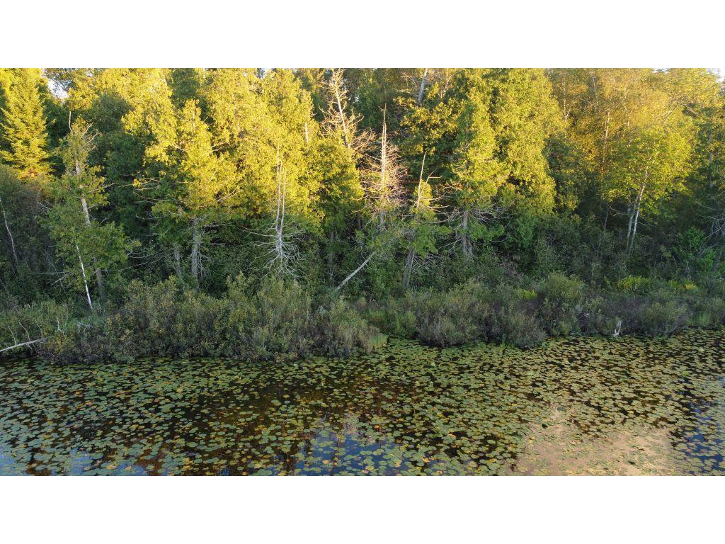 32118 E Gunn Lake Trail Marcell MN 56657 - Fifth Chain 6776820 image39