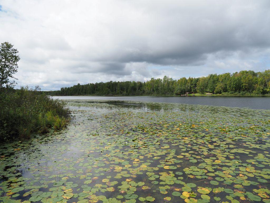 32118 E Gunn Lake Trail Marcell MN 56657 - Fifth Chain 6776820 image55