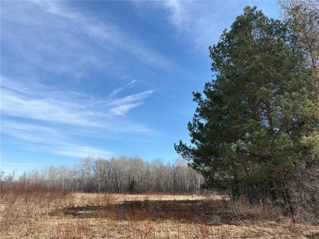 32126 Hornsby Street NE North Branch MN 55056 7038440 image102