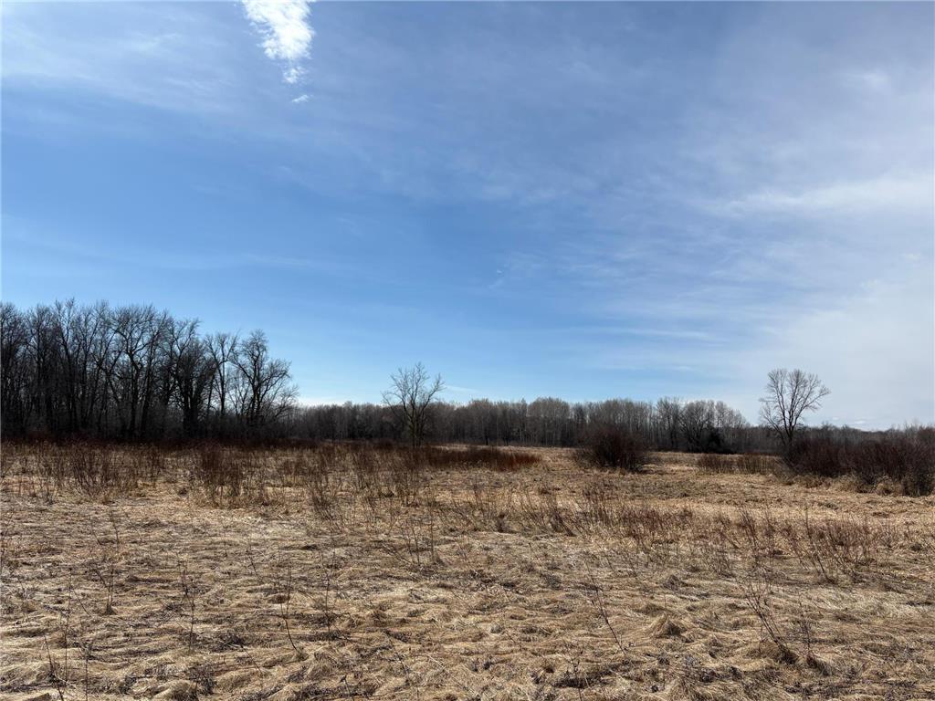 32126 Hornsby Street NE North Branch MN 55056 7038440 image103