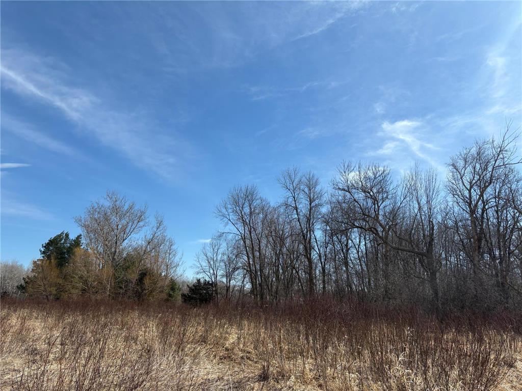 32126 Hornsby Street NE North Branch MN 55056 7038440 image104