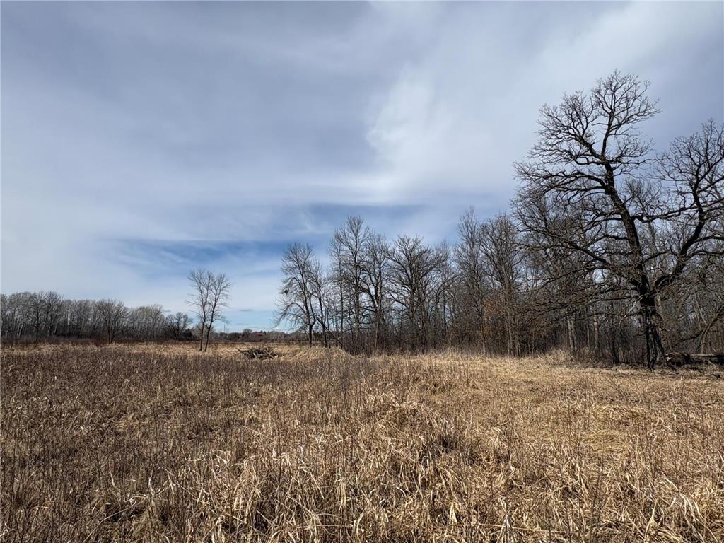 32126 Hornsby Street NE North Branch MN 55056 7038440 image107
