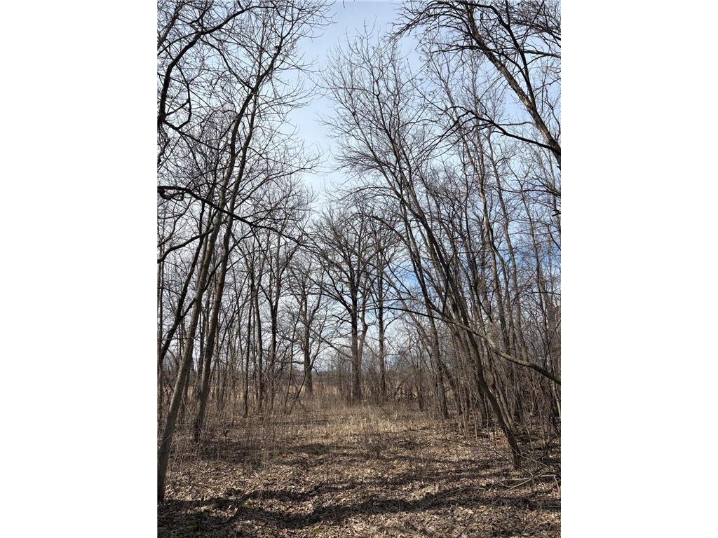 32126 Hornsby Street NE North Branch MN 55056 7038440 image109