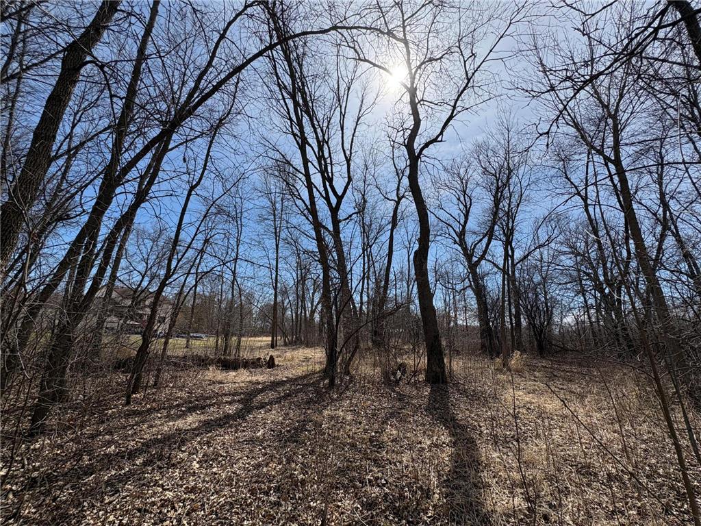 32126 Hornsby Street NE North Branch MN 55056 7038440 image110