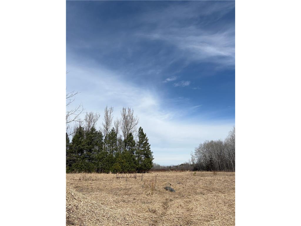 32126 Hornsby Street NE North Branch MN 55056 7038440 image99