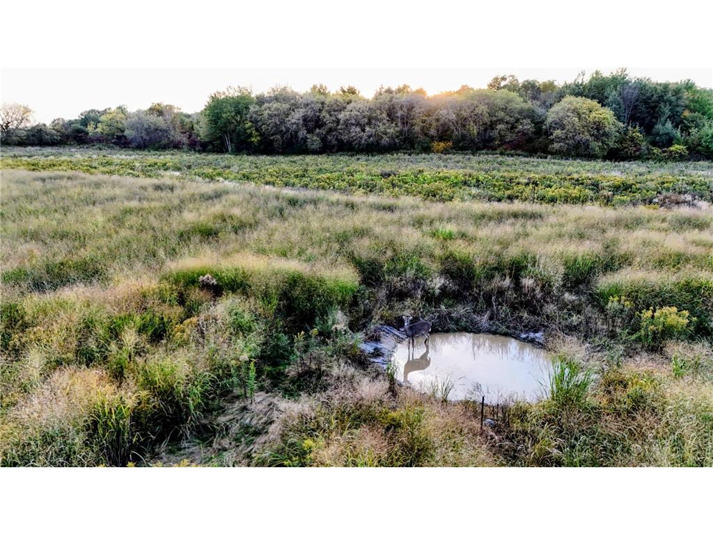 32128 Virgo Street NE North Branch MN 55056 6797139 image5