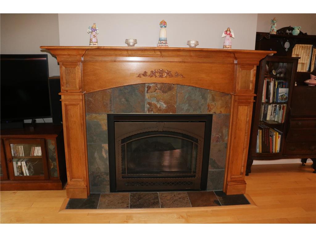 3214 Shorewood Drive Nessel Twp MN 55069 - East Rush 7079031 image11