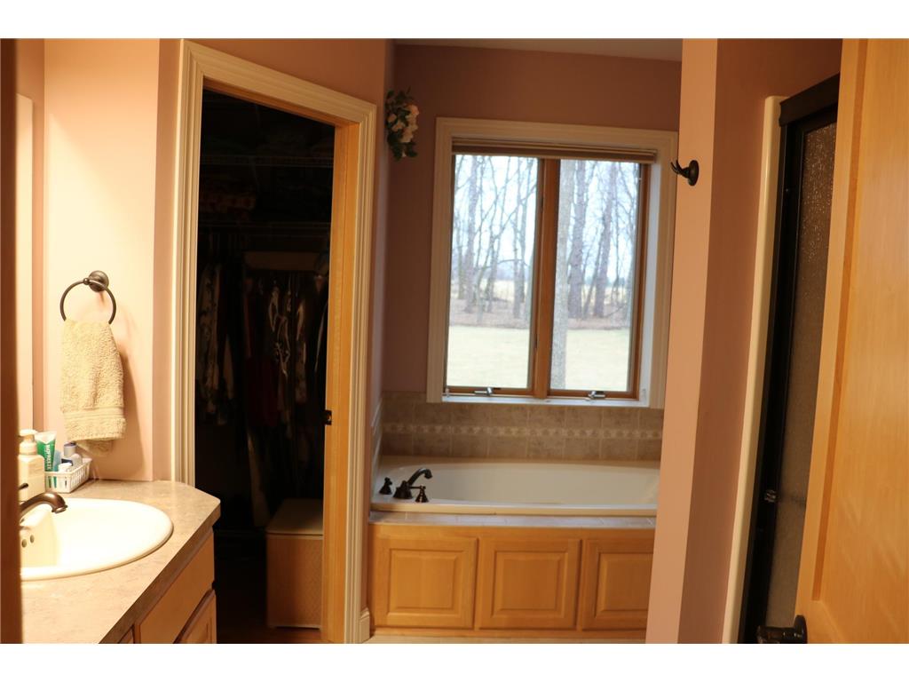 3214 Shorewood Drive Nessel Twp MN 55069 - East Rush 7079031 image27