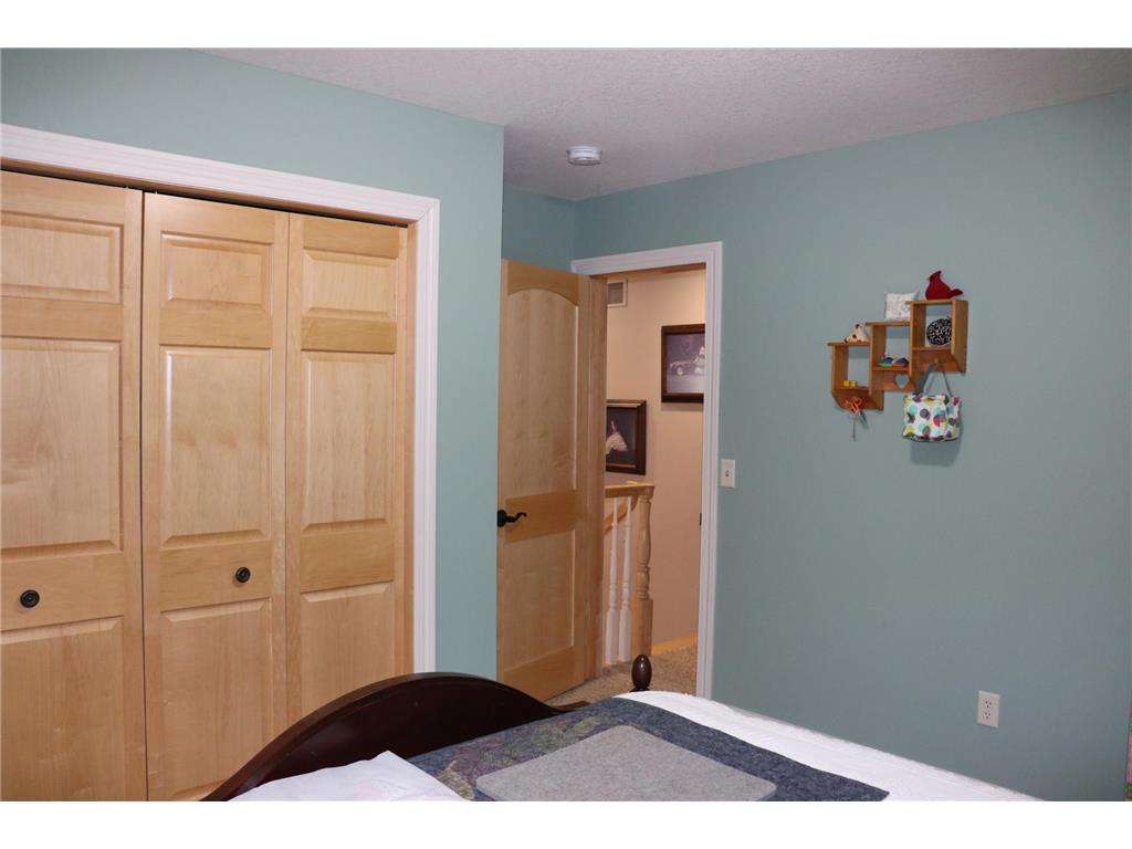 3214 Shorewood Drive Nessel Twp MN 55069 - East Rush 7079031 image30