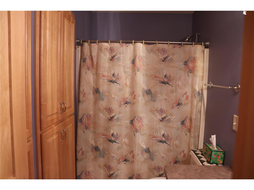 3214 Shorewood Drive Nessel Twp MN 55069 - East Rush 7079031 image32
