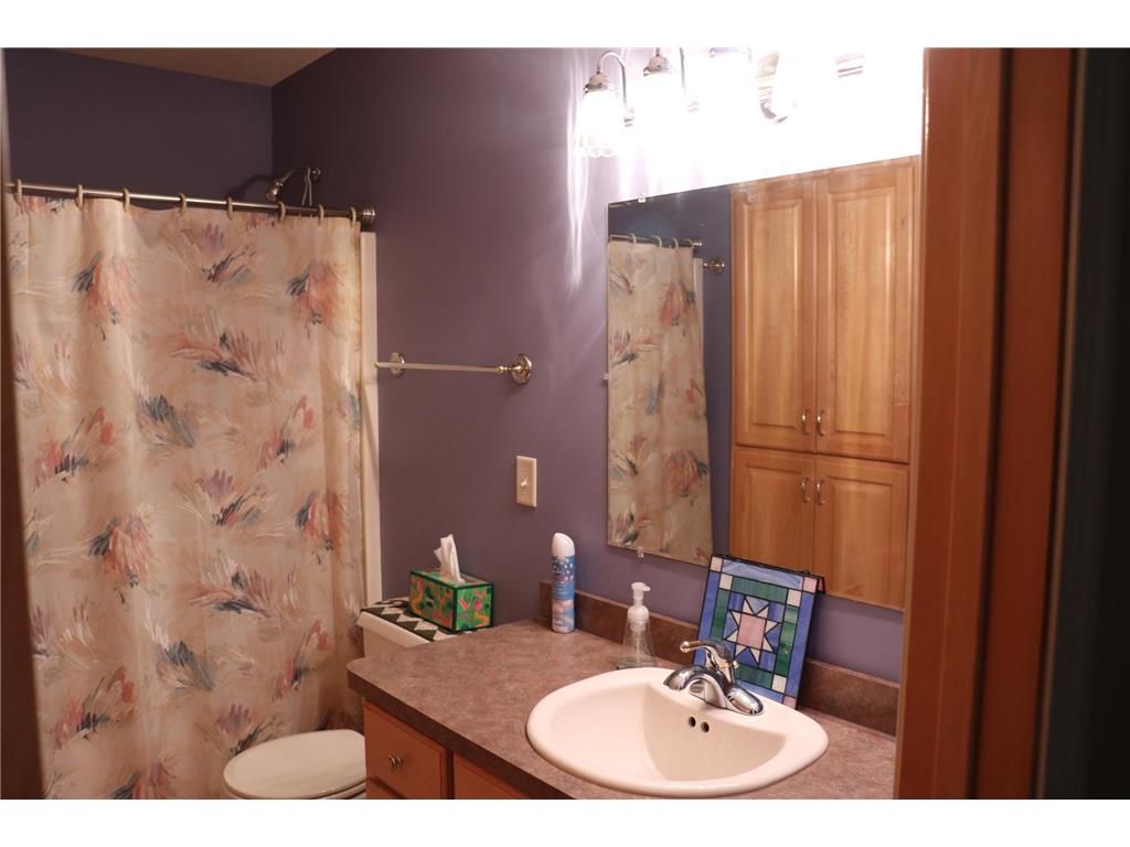 3214 Shorewood Drive Nessel Twp MN 55069 - East Rush 7079031 image33