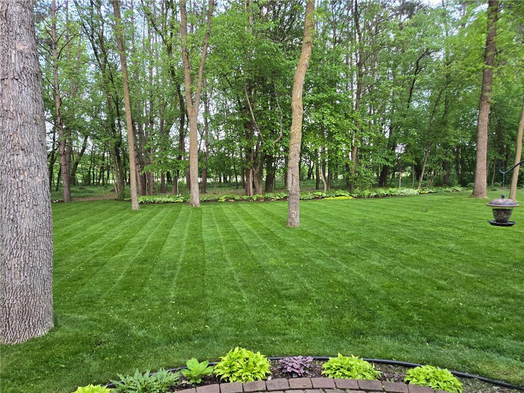 3214 Shorewood Drive Nessel Twp MN 55069 - East Rush 7079031 image39