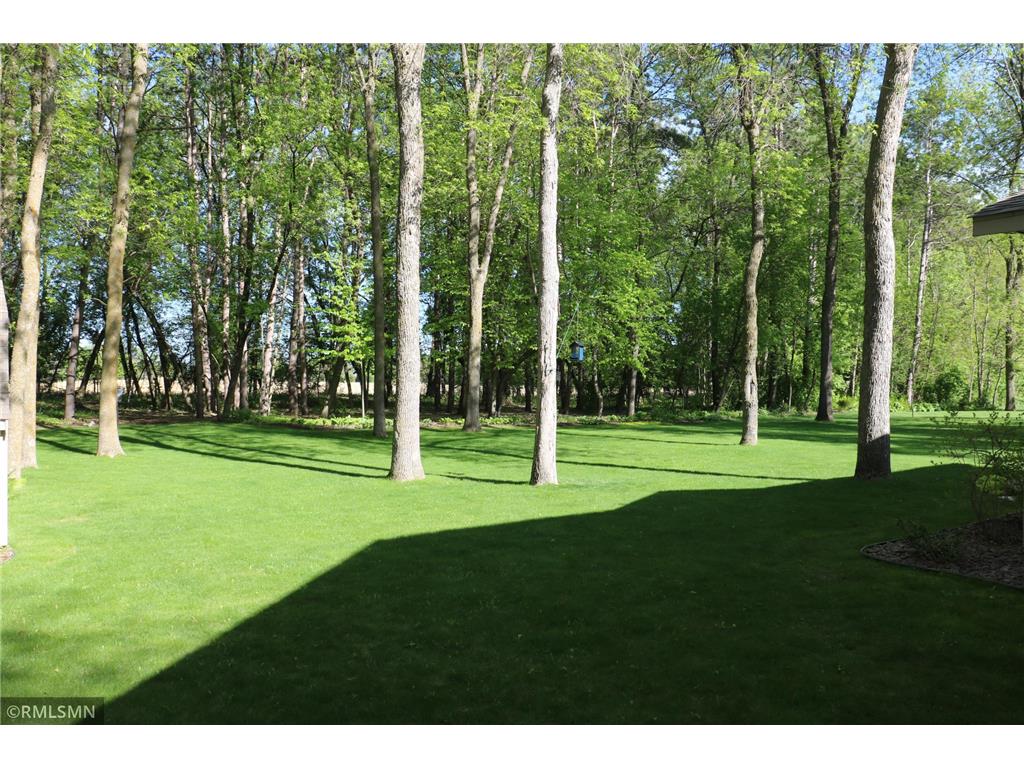3214 Shorewood Drive Nessel Twp MN 55069 - East Rush 7079031 image40
