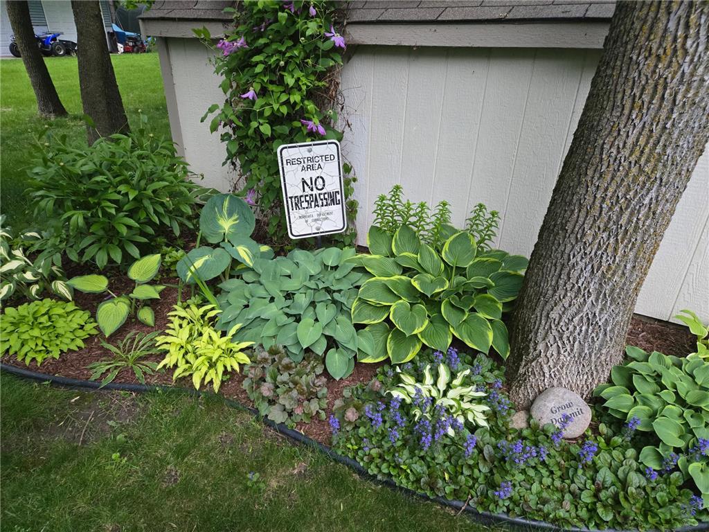 3214 Shorewood Drive Nessel Twp MN 55069 - East Rush 7079031 image42