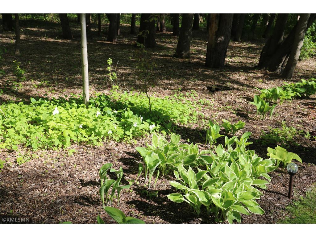 3214 Shorewood Drive Nessel Twp MN 55069 - East Rush 7079031 image45