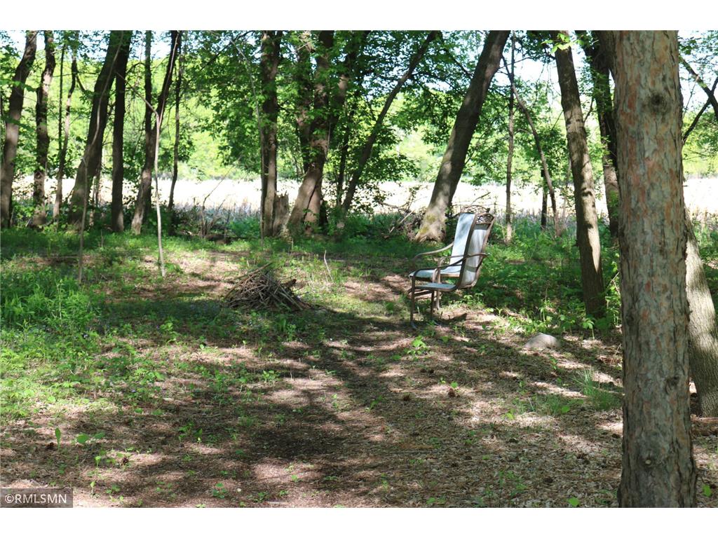 3214 Shorewood Drive Nessel Twp MN 55069 - East Rush 7079031 image47