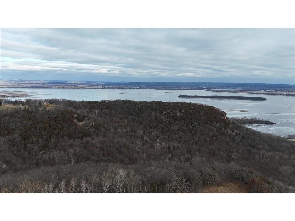 32158 County Road 1 Dresbach Twp MN 55947 7072651 image10