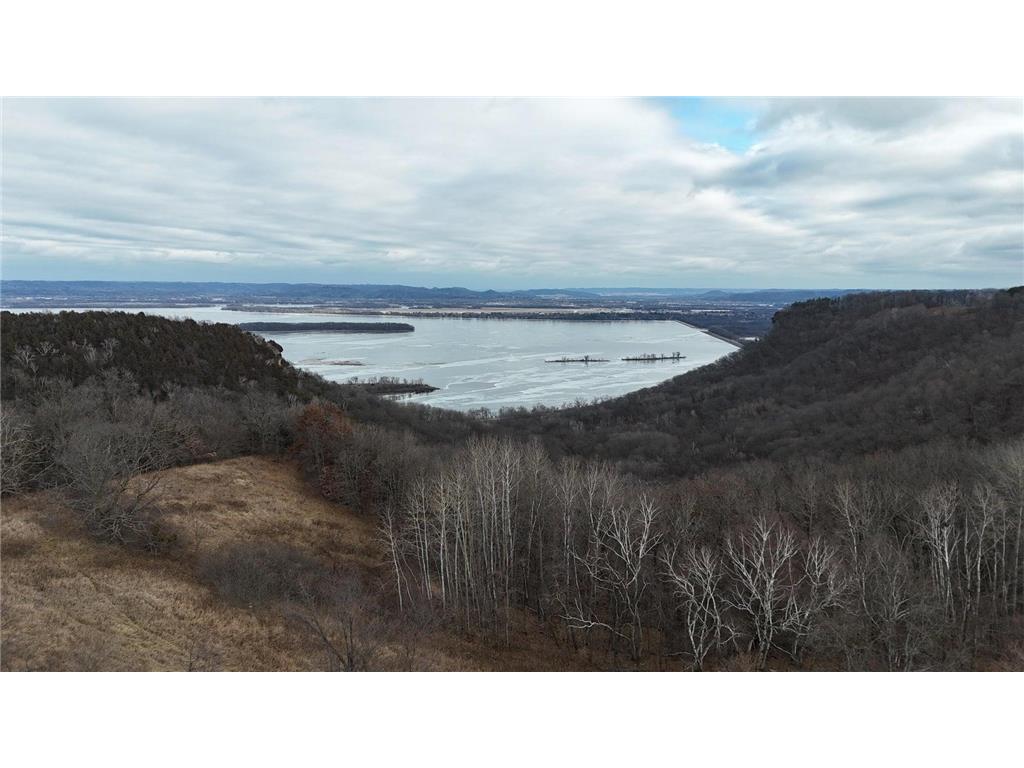 32158 County Road 1 Dresbach Twp MN 55947 7072651 image15