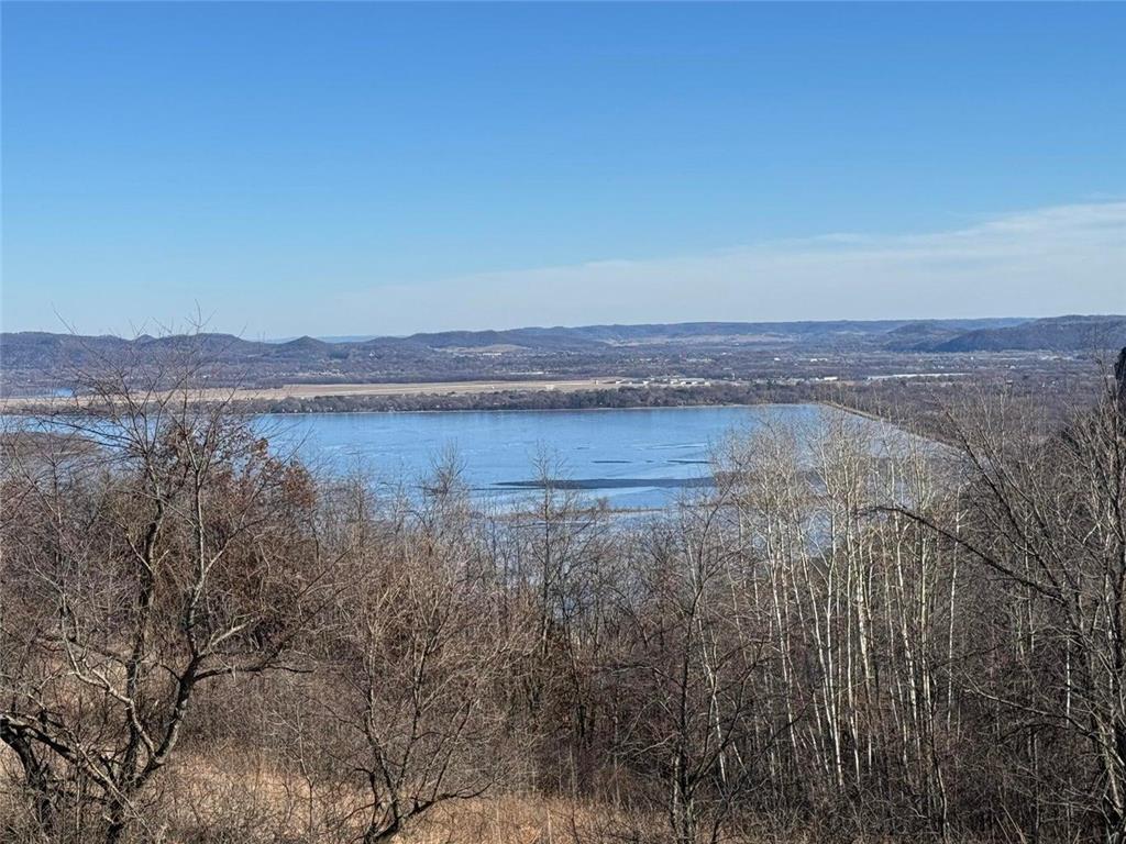 32158 County Road 1 Dresbach Twp MN 55947 7072651 image18