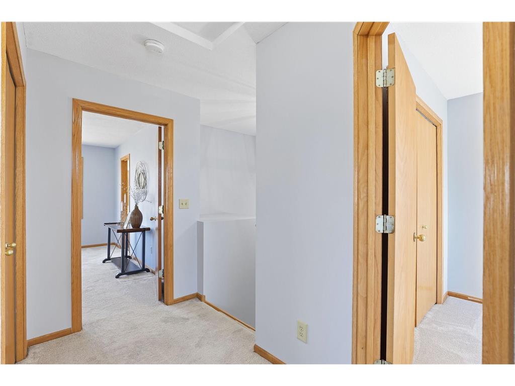 3217 Meadow Brook Place Woodbury MN 55125 7044520 image22