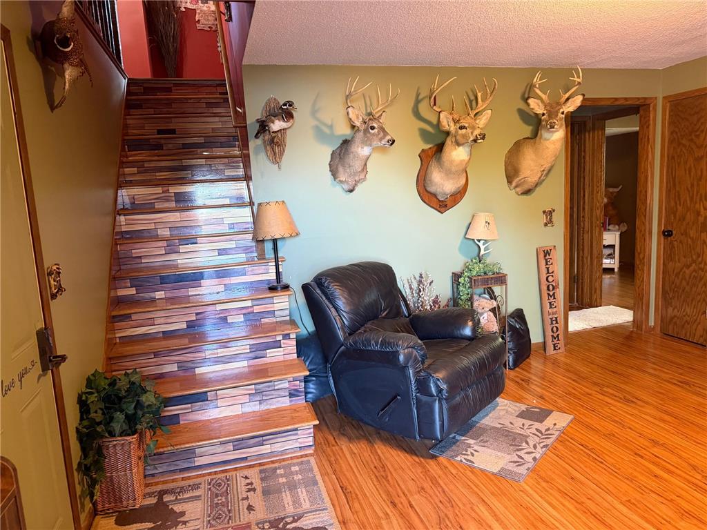 32185 290th Street Bigelow Twp MN 56187 - Ocheda 7069531 image28