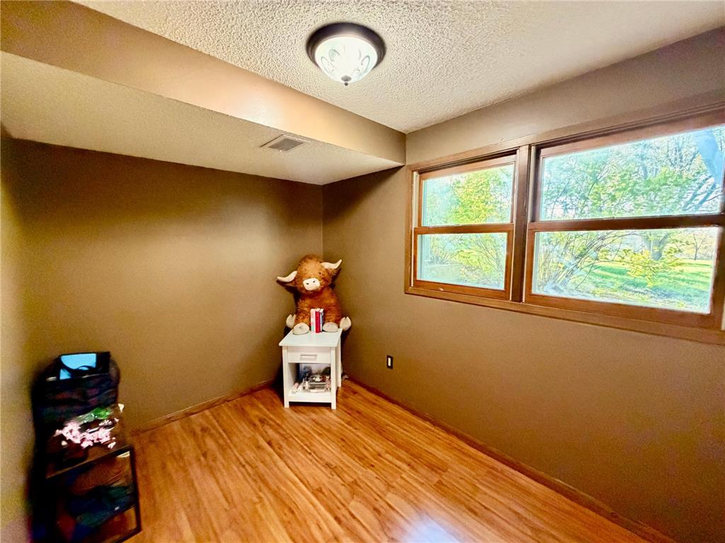32185 290th Street Bigelow Twp MN 56187 - Ocheda 7069531 image34