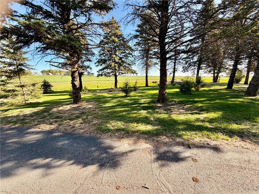 32185 290th Street Bigelow Twp MN 56187 - Ocheda 7069531 image58