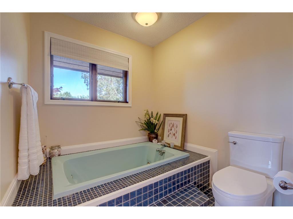 322 N Cudd Avenue River Falls WI 54022 7090566 image27