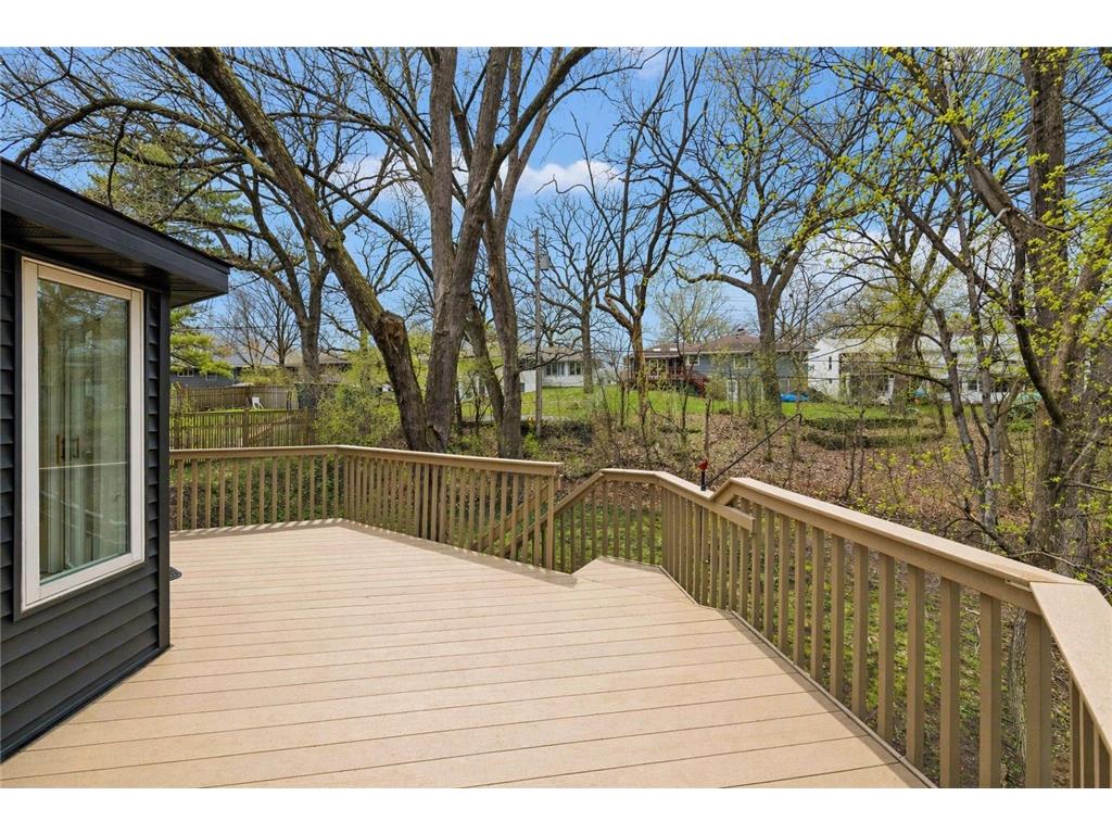 3220 Aquila Lane S Saint Louis Park MN 55426 7042526 image38
