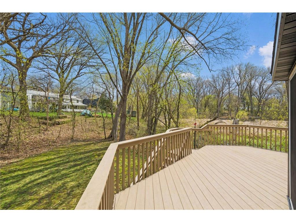3220 Aquila Lane S Saint Louis Park MN 55426 7042526 image39