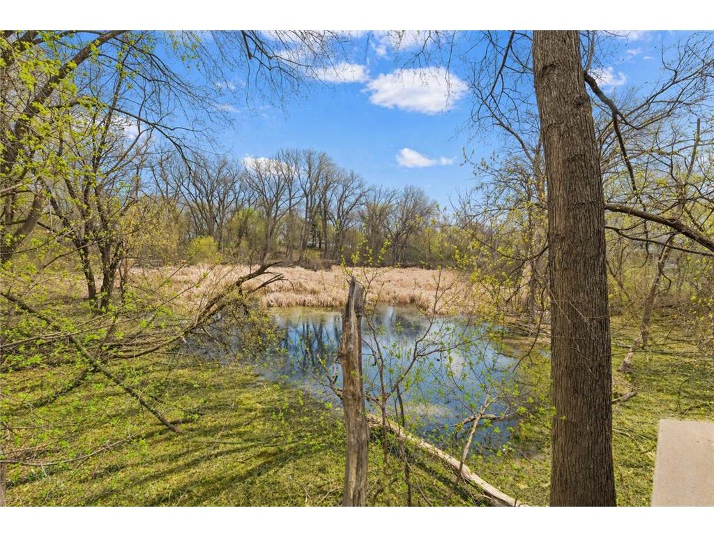 3220 Aquila Lane S Saint Louis Park MN 55426 7042526 image41