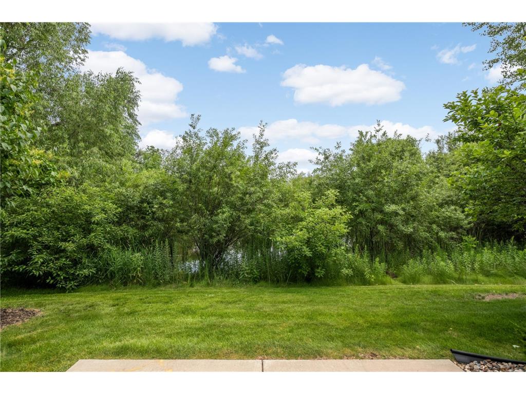 3223 Red Oak Trail Medina MN 55340 7105142 image31