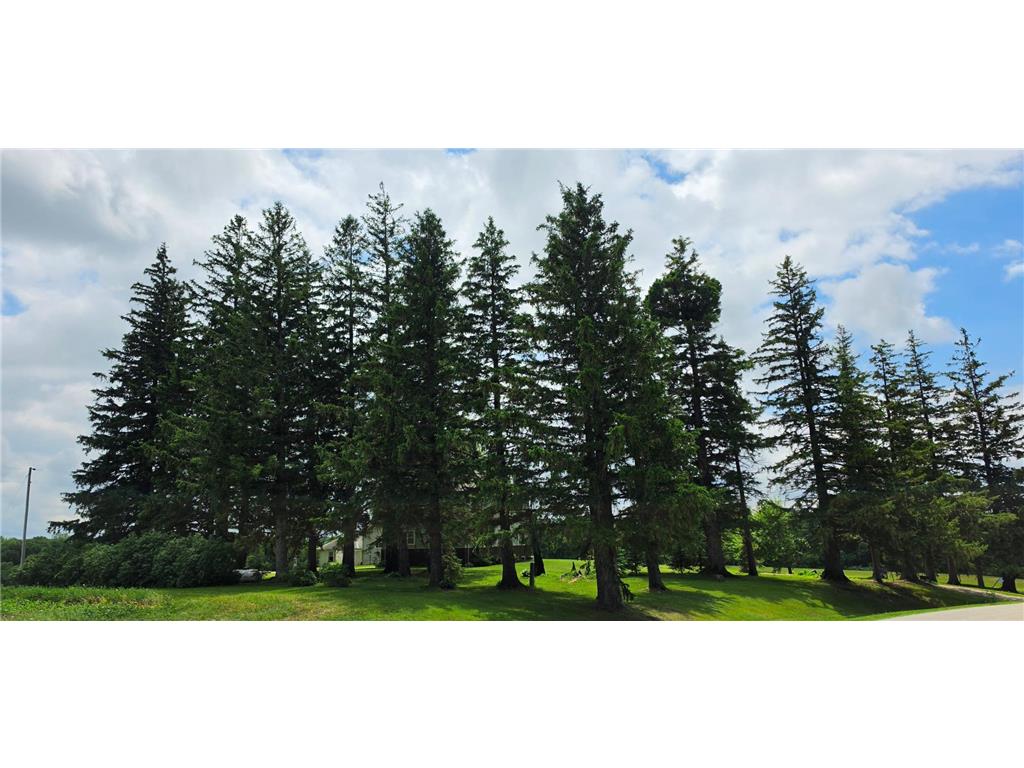 32236 County 105 Arendahl Twp MN 55949 7051119 image4