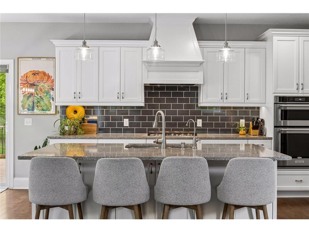 3224 Symphony Court Chaska MN 55318 7078991 image13