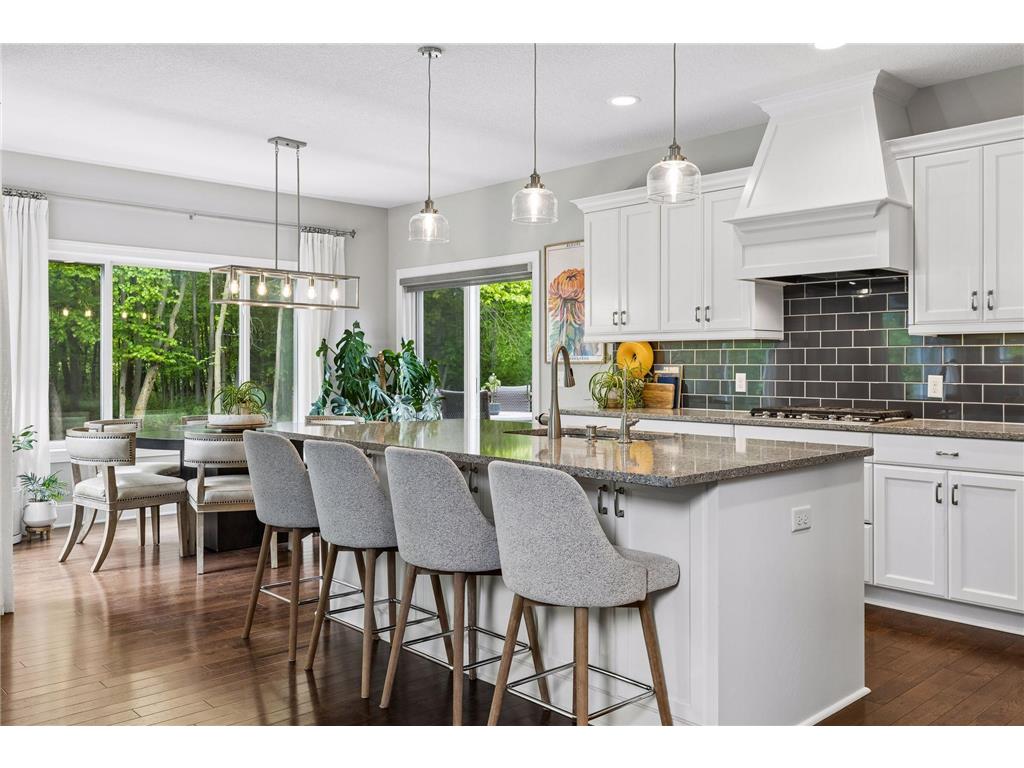 3224 Symphony Court Chaska MN 55318 7078991 image15