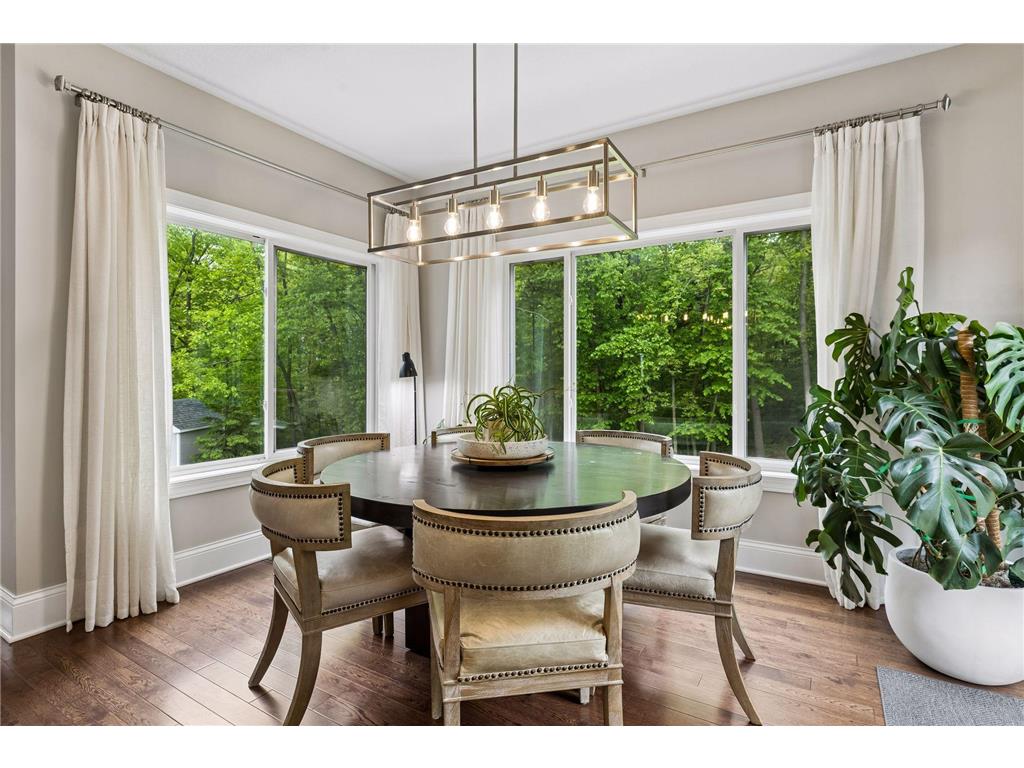 3224 Symphony Court Chaska MN 55318 7078991 image19