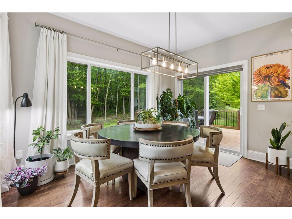3224 Symphony Court Chaska MN 55318 7078991 image20