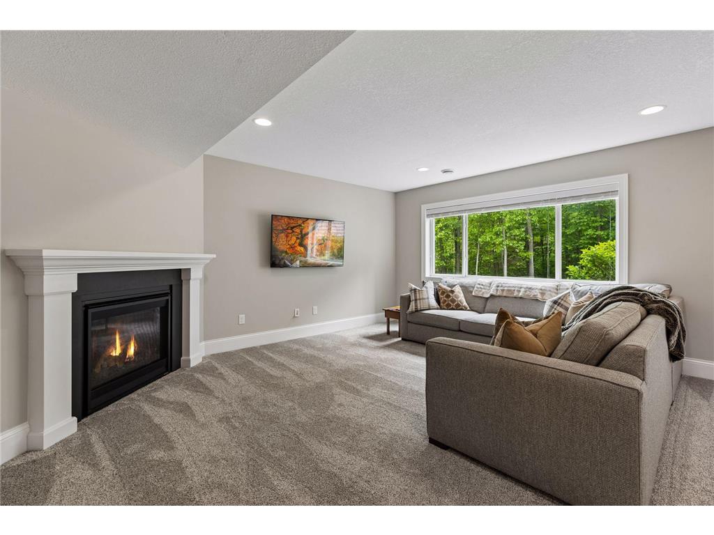 3224 Symphony Court Chaska MN 55318 7078991 image44